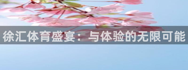 杏悦体育