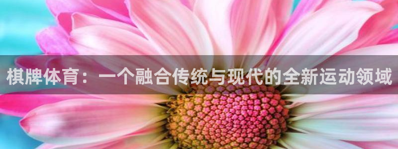 杏悦代理注册官网入口