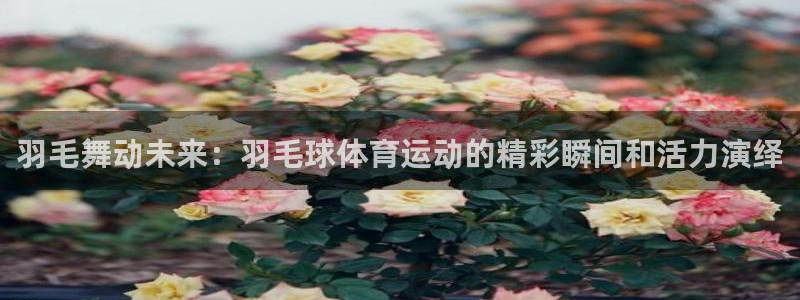 杏悦电子有限公司