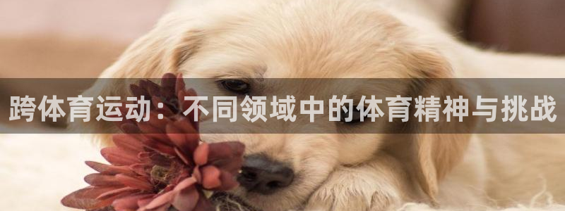 杏悦平台注册