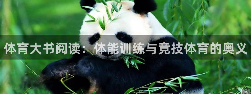 杏悦平台总代理