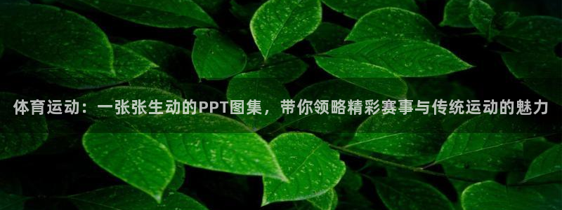 杏悦3代理