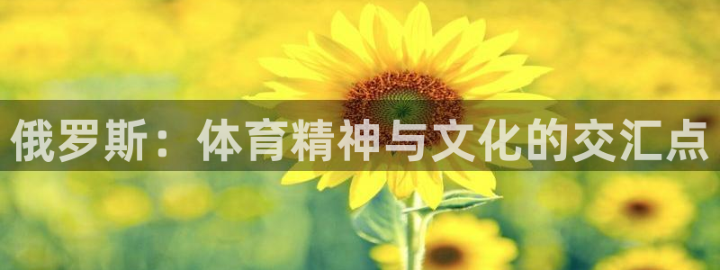 杏悦2体育登录入口
