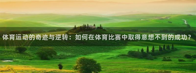 杏悦4开户